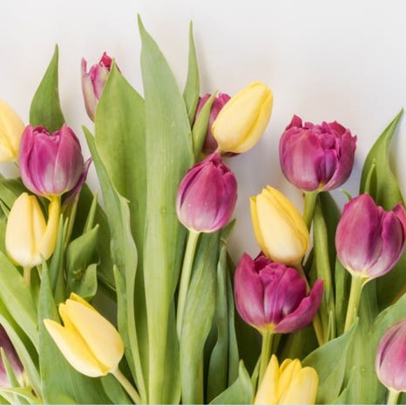 Bundle and save - Picture 6 of 8